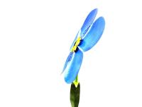 Medium Metal Garden Flower Stake - Forget Me Not Design