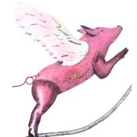 Metal Garden Wind Vane Spinner - Flying Pig Design