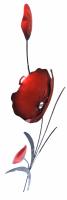 Metal Wall Art - Red Poppy Flower Bunch