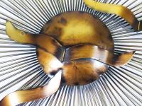 Metal Wall Art - Sunshine Bird Migration Sun