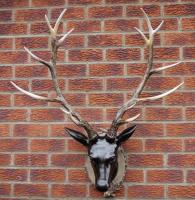 Resin Wall Art - Large Stag Head Trophy