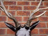 Resin Wall Art - Large Stag Head Trophy