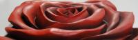 Resin Wall Art - Red Rose Square Panel