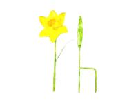 Small Metal Garden Flower Stake - Daffodil Design