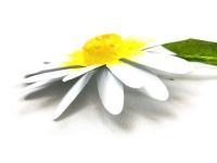 Small Metal Garden Flower Stake - Daisy Design