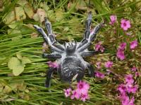 Cast Iron Spider Ornament