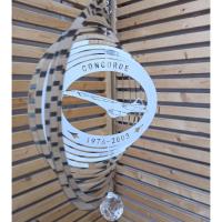 Stainless Steel Wind Spinner - Concorde