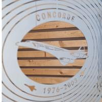 Stainless Steel Wind Spinner - Concorde