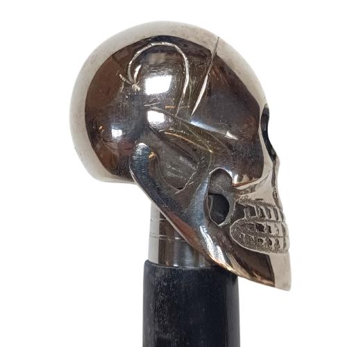 Skull Head Walking Stick