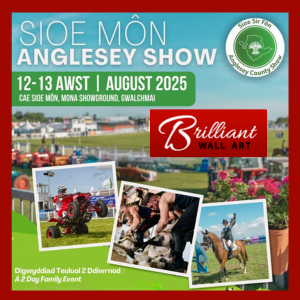 Brilliant Wall Art at Anglesey Agricultural Show 2025